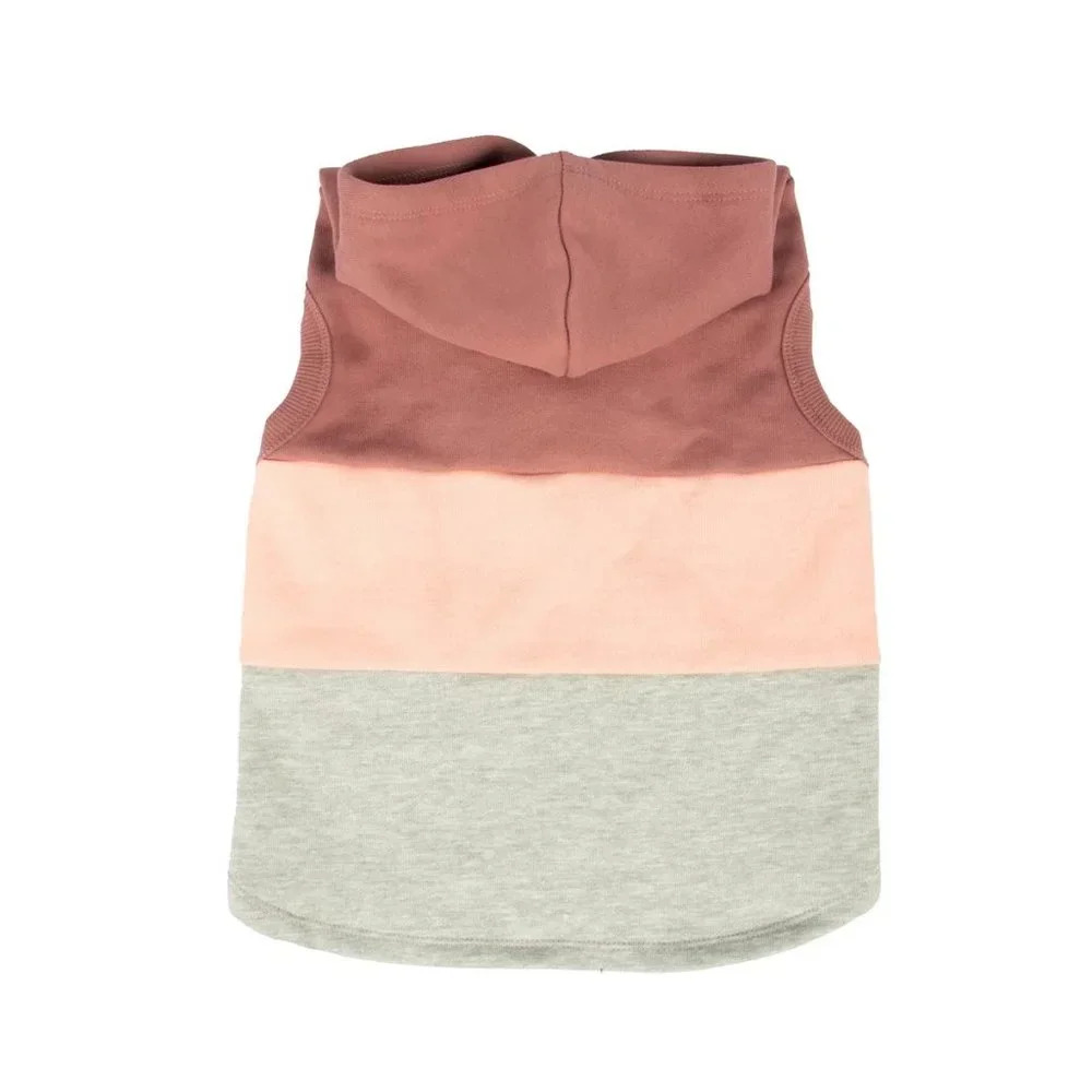 Color Block Dog Hoodie